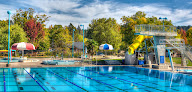Your swimming lessons for adults Amazon Pool in Eugene in OR