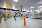 Your swimming lessons for adults American Family Fitness Glen Allen in Brook Rd #100, Glen Allen in Virginia