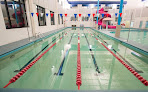 Your swimming lessons for adults American Family Fitness Swift Creek in Brad Mcneer Pkwy, Midlothian in Virginia