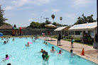 Your swimming lessons for adults Ant Swim School in San Jose in California