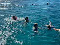 Your swimming lessons for adults Aqua Marine Dive Center in St Thomas in Virgin Islands