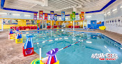 Your swimming lessons for adults Aqua-Tots Swim School Glendale in Glendale in Glendale