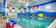 Your swimming lessons for adults Aqua-Tots Swim School Oviedo in Oviedo in FL