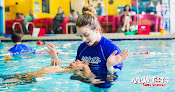 Your swimming lessons for adults Aqua-Tots Swim School Schererville in Schererville in IN