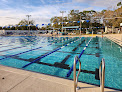 Your swimming lessons for adults Arlington Park Sarasota in Sarasota in Florida