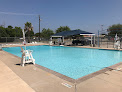 Your swimming lessons for adults Armed Services Ymca Killeen | Outdoor Pool in Harker Heights in Harker Heights, TX