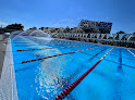 Your swimming lessons for adults Austin Swim Club in Austin in TX