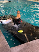 Your swimming lessons for adults Barley's Canine Recreation Center in Salt Lake City in Utah