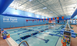 Your swimming lessons for adults Bear Paddle Swim School - Lake In The Hills in Lake in the Hills in IL