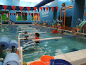 Your swimming lessons for adults Bear Paddle Swim School - Louisville in Louisville in Kentucky