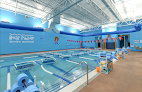 Your swimming lessons for adults Bear Paddle Swim School - Oakley Station in Cincinnati in OH