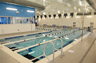 Your swimming lessons for adults Bear Paddle Swim School - Wheaton in Wheaton in IL