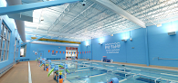 Your swimming lessons for adults Bear Paddle Swim School - Woodridge in Woodridge in DuPage