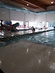 Your swimming lessons for adults Belle Fourche Rec Center in Belle Fourche in SD