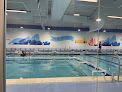 Your swimming lessons for adults Big Blue Swim School in Paoli in Pennsylvania