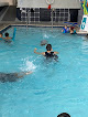 Your swimming lessons for adults Blacktip Swim School Plano, Murphy in Plano in TX