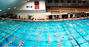 Your swimming lessons for adults Blodgett Pool in Boston in MA