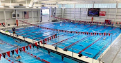 Your swimming lessons for adults Boston Finsharks in Wellesley in MA
