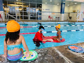 Your swimming lessons for adults British Swim School At The Boston Sports Center Club - Westborough in Westborough in Massachusetts
