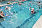 Your swimming lessons for adults British Swim School Of Wexford - The Woodlands Aquatic Center in Wexford in Pennsylvania