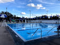 Your swimming lessons for adults Campo Family Ymca in Valrico in Valrico, FL