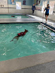 Your swimming lessons for adults Canine Fitness Center Llc in Crownsville in Maryland
