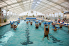 Your swimming lessons for adults Cantrell Wellness Center in Warner Robins in Houston County