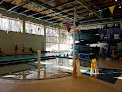 Your swimming lessons for adults Carls Family Ymca in Milford in MI