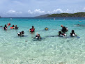 Your swimming lessons for adults Coki Dive Center in Nazareth in St Thomas