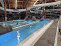 Your swimming lessons for adults Cove Aquatic Center in Bend in OR