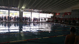 Your swimming lessons for adults Crawfish Aquatics in Baton Rouge in East Baton Rouge Parish