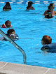 Your swimming lessons for adults Dasher Green Pool in Columbia in Maryland