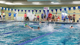 Your swimming lessons for adults Davis Family Ymca in Knoxville in Knox