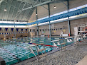 Your swimming lessons for adults Deanwood Aquatic Center in Washington in District of Columbia