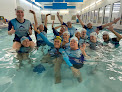 Your swimming lessons for adults Dolfun Dynamics in Portland in Oregon