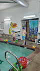 Your swimming lessons for adults Dolfun Swim Academy in Portland in Oregon