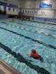 Your swimming lessons for adults Dover Indoor Swimming Pool & Park in Dover in NH