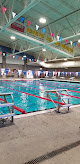 Your swimming lessons for adults Duke City Aquatics Inc in Albuquerque in NM