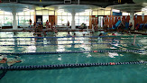 Your swimming lessons for adults Evergreen Aquatic Center in Seattle in WA