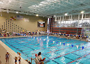 Your swimming lessons for adults Fairland Sports And Aquatics Complex in Laurel in Maryland