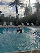 Your swimming lessons for adults Fast Swim Academy - Swim Lessons In Tampa Bay in St. Petersburg in FL