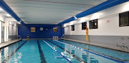 Your swimming lessons for adults Five Seasons Family Sports Club - Nky in Crestview Hills in Kentucky