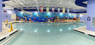 Your swimming lessons for adults Five Star Swim School - Deptford in Deptford in NJ