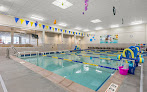 Your swimming lessons for adults Foss Swim School - Elmwood Park in Elmwood Park in Cook