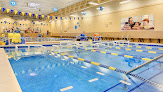 Your swimming lessons for adults Foss Swim School - Highland Park, Il in Highland Park in Lake