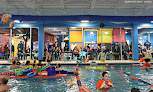Your swimming lessons for adults Goldfish Swim School - Braintree in Braintree in Massachusetts