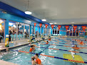 Your swimming lessons for adults Goldfish Swim School - Clarkston in Clarkston in MI
