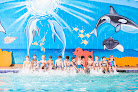 Your swimming lessons for adults Goldfish Swim School - South Jordan in South Jordan in Utah