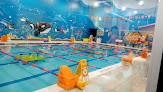 Your swimming lessons for adults Goldfish Swim School - Webster in Webster in TX