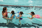 Your swimming lessons for adults Greater Burlington Ymca in Burlington in Vermont